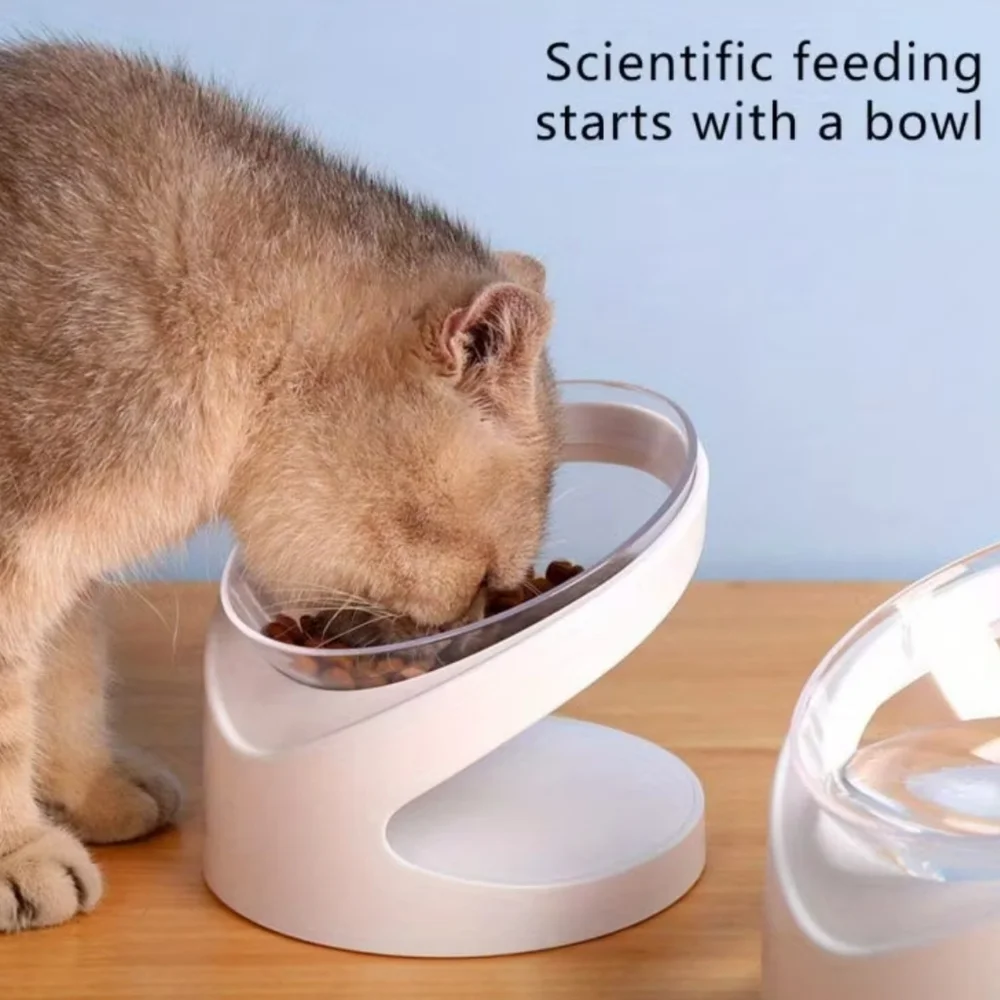 Raised Pet Bowl For Cats & Dogs